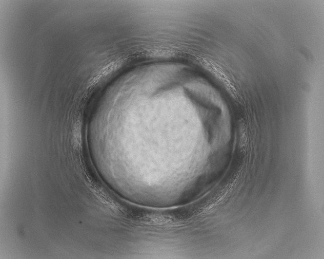 X0000115540681200911201740