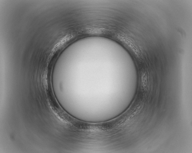 X0000115540682200911201740