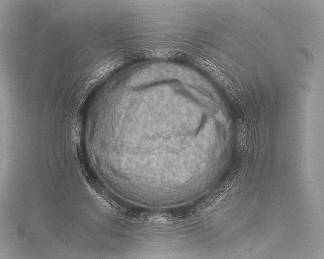 X0000115540683200911201740