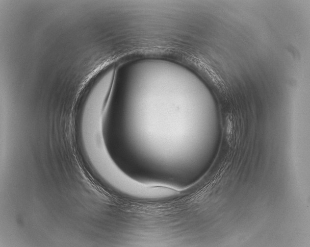 X0000115540684200911201740