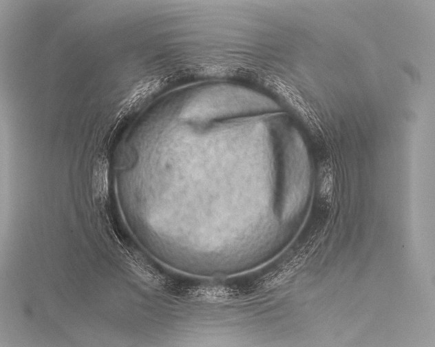 X0000115540685200911201740