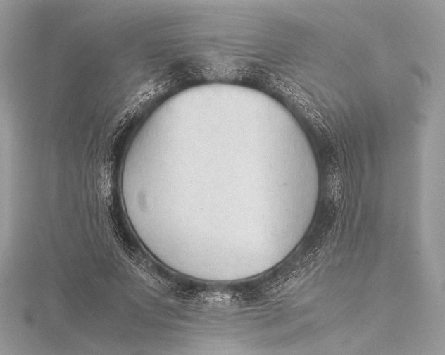 X0000115540687200911201740