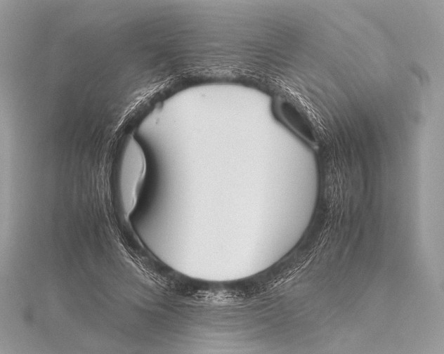 X0000115540688200911201740