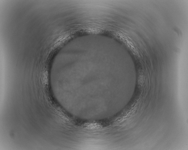 X0000115540689200911201740