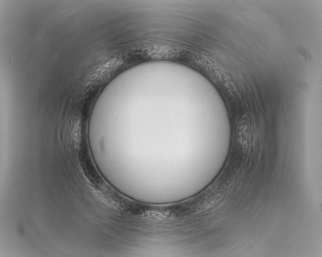 X0000115540690200911201740