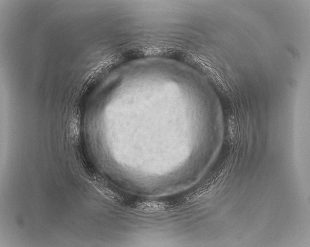 X0000115540691200911201740