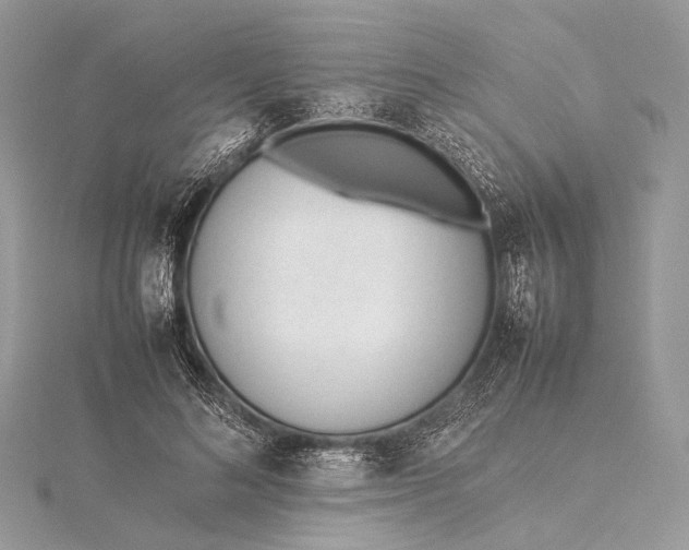 X0000115540692200911201740