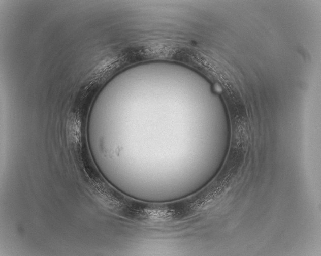 X0000115540693200911201740