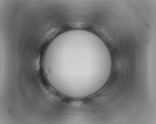 X0000115540694200911201740