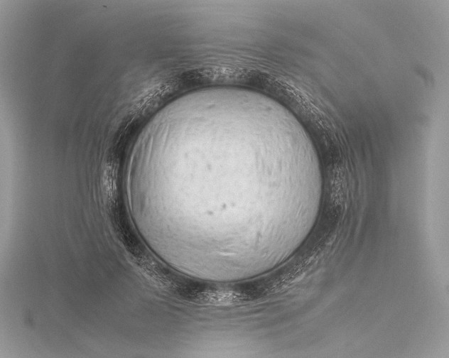 X0000115540695200911201740