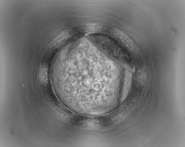 X0000115540696200911201740