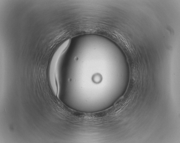 X0000115540697200911201740