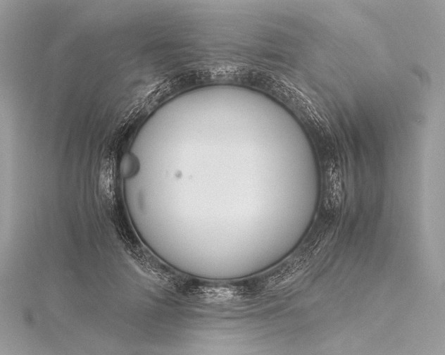 X0000115540698200911201740