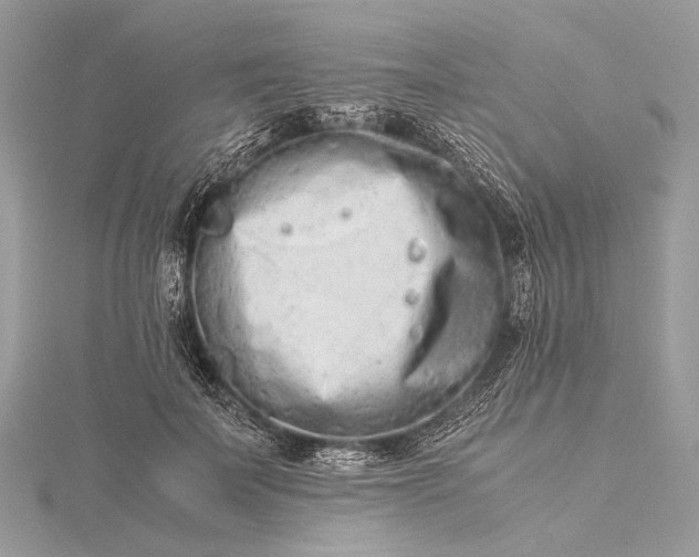 X0000115540699200911201740