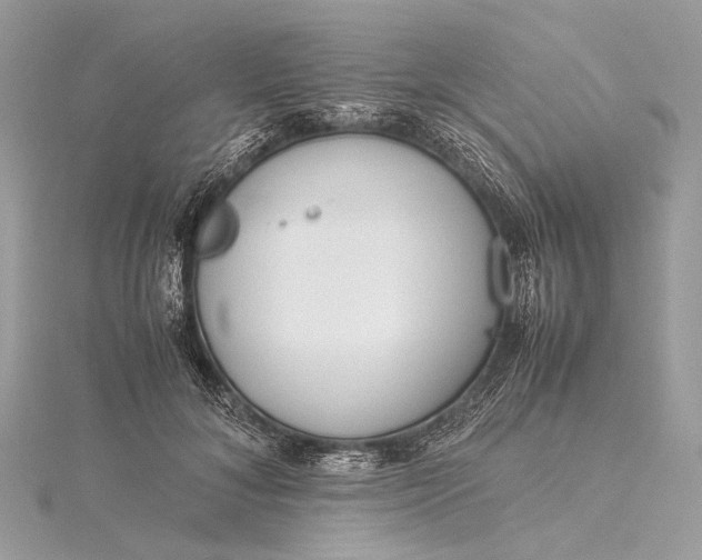 X0000115540700200911201740