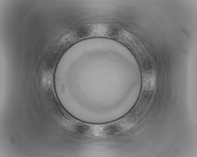 X0000115540701200911201740