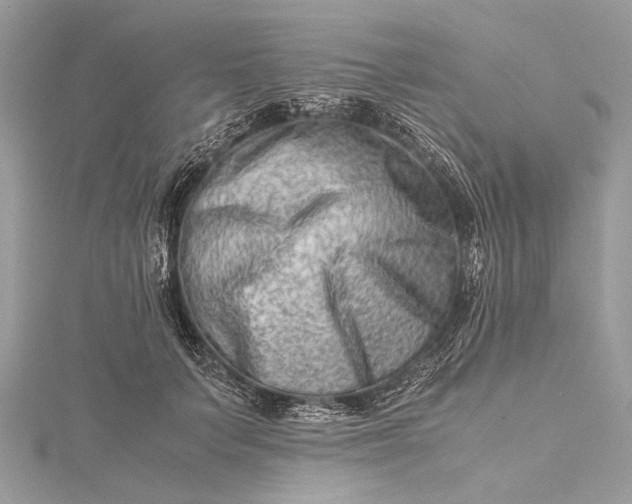 X0000115540703200911201740