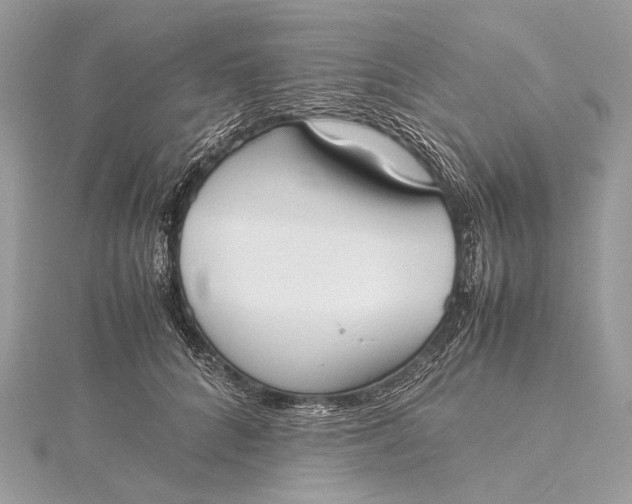 X0000115540704200911201740