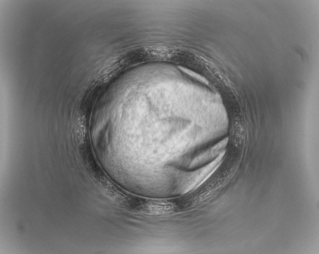 X0000115540707200911201740