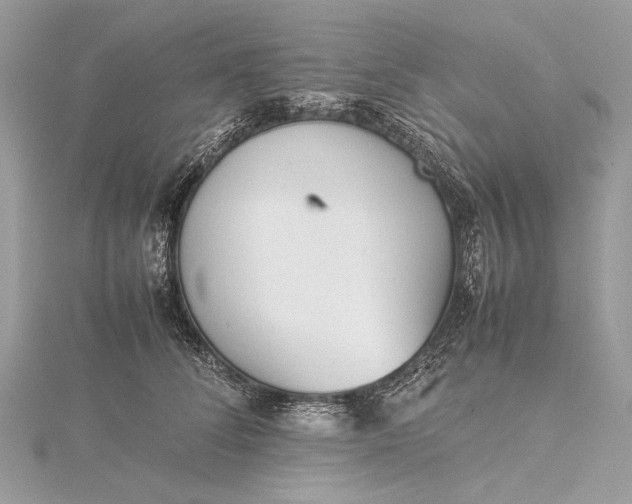 X0000115540708200911201740