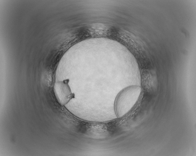 X0000115540709200911201740