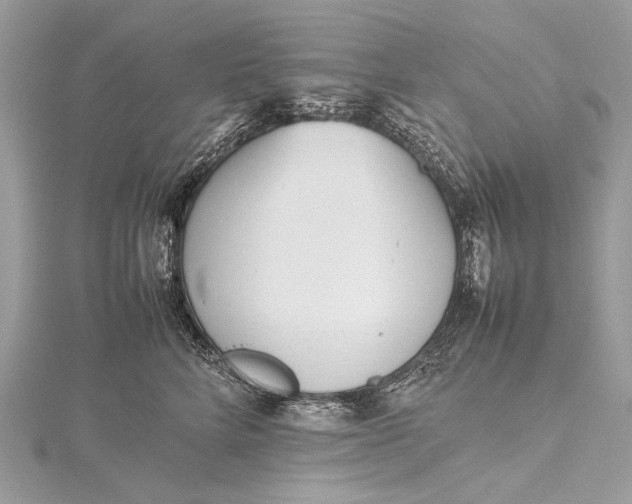 X0000115540712200911201740