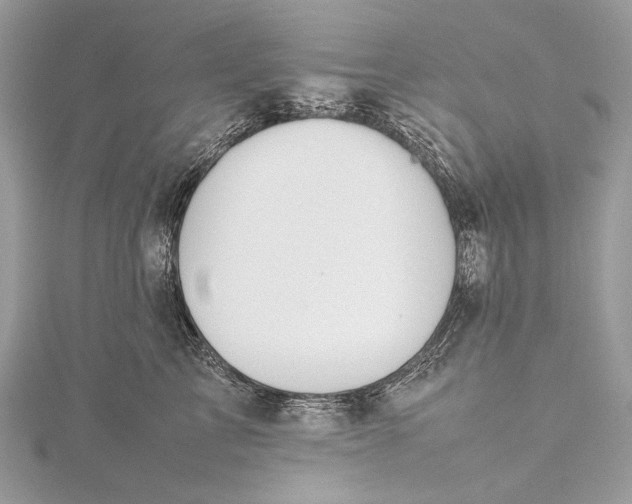 X0000115540713200911201739