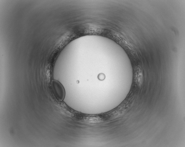 X0000115540716200911201739