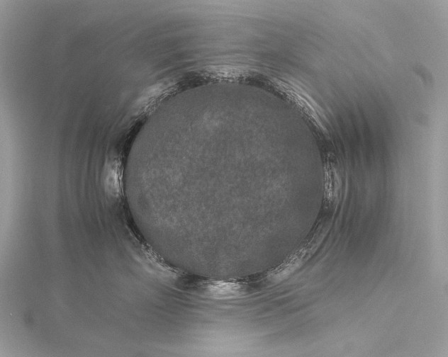 X0000115540718200911201739