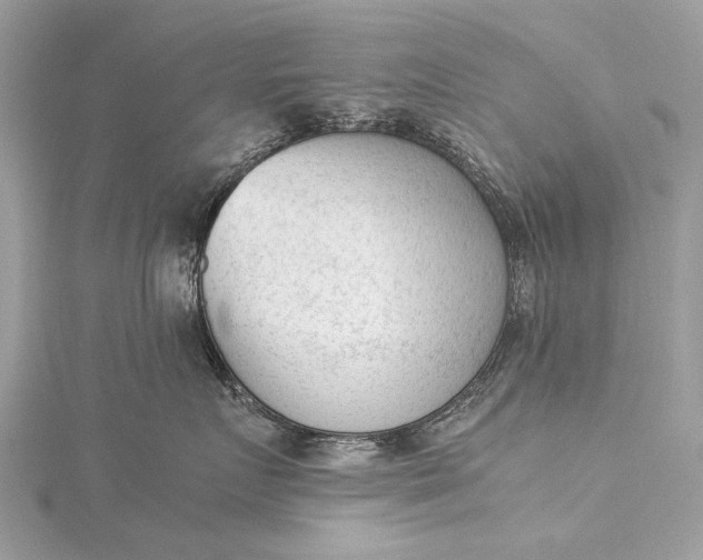 X0000115540719200911201739