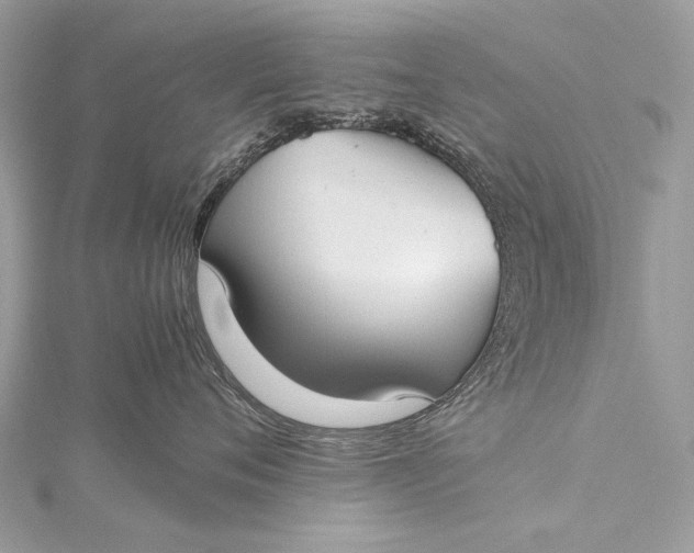 X0000115540720200911201739