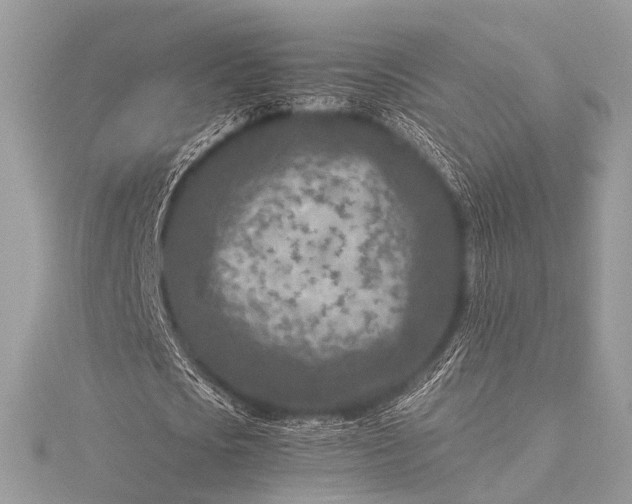 X0000115540721200911201739