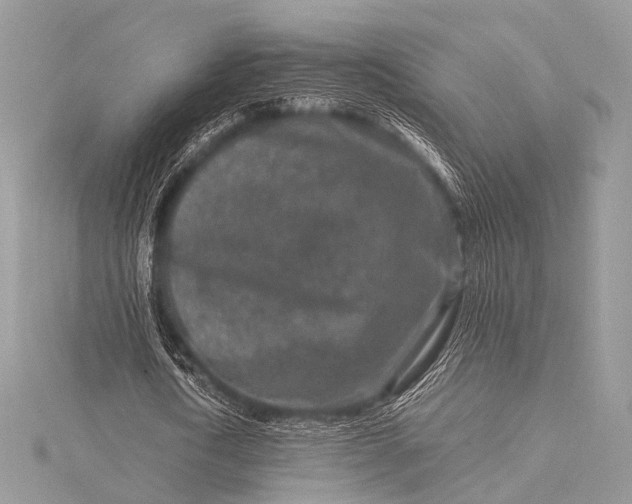 X0000115540722200911201739