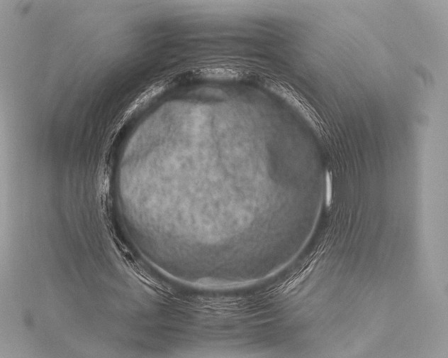 X0000115540723200911201739