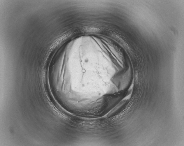 X0000115540725200911201739