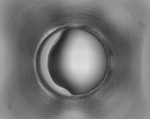 X0000115540726200911201739