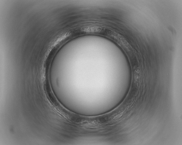 X0000115540727200911201739