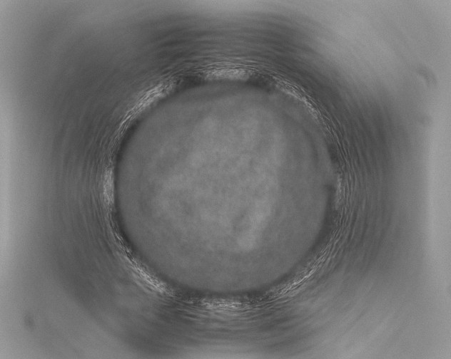 X0000115540729200911201739