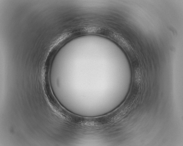 X0000115540730200911201739