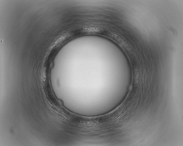 X0000115540731200911201739