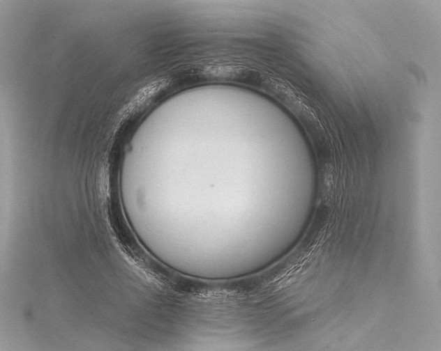 X0000115540734200911201739