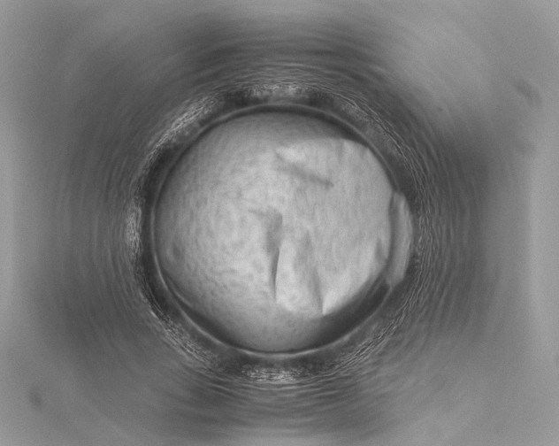 X0000115540735200911201739