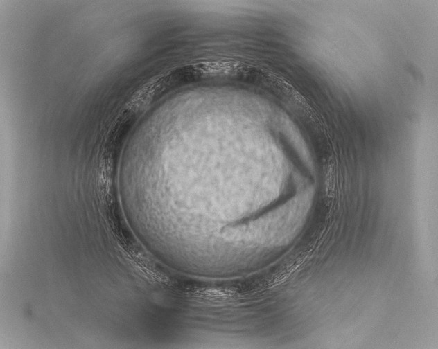 X0000115540737200911201739