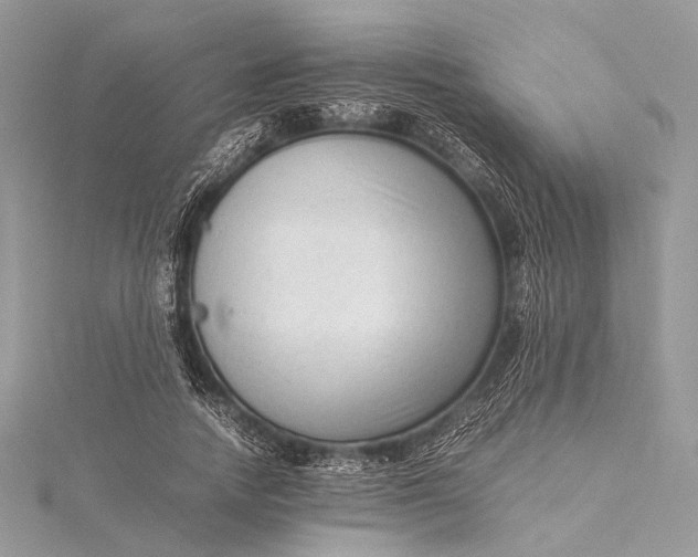 X0000115540738200911201739