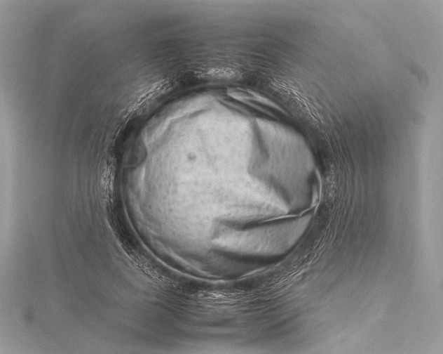 X0000115540739200911201739