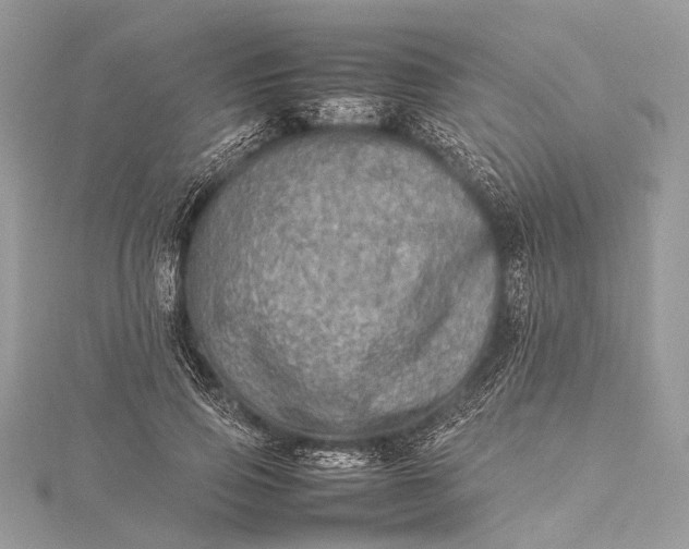 X0000115540741200911201739