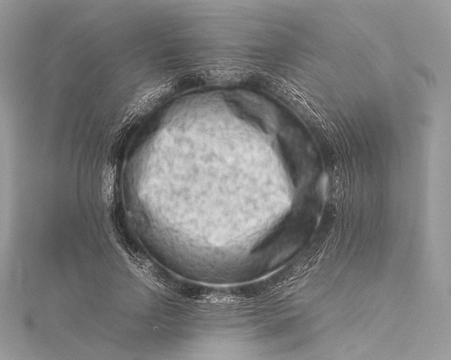 X0000115540742200911201739