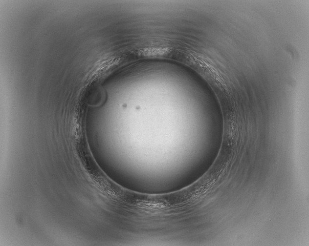 X0000115540743200911201739