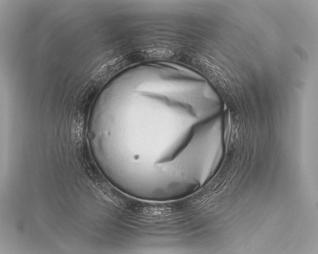 X0000115540745200911201739