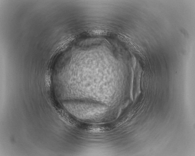 X0000115540746200911201739